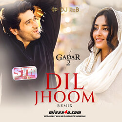 Dj-Rz-B-Dil-Jhoom-Remix.jpg